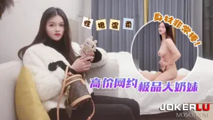 高价网约极品大奶妹
