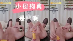 kbj-24110274 小母狗真是骚啊