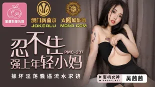 PMC-207 忍不住强上年轻小妈