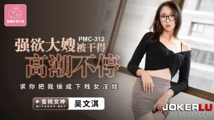 PMC-312 强欲大嫂被干得高潮不停 求你把我操成下贱女淫娃