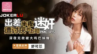 PMC-415 出差半夜遭讨厌的上司迷X 深夜无故被大鸡巴操醒