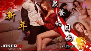 SAT0062 新年聚会的目的