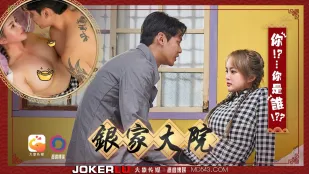 银家大院之你是谁啊