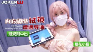内衣模特试镜遭遇导演潜规则
