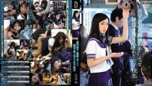 [无码版/破解]TEAM-065 绝顶高潮的女子校 辻本杏