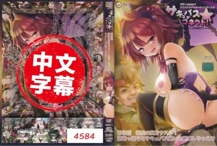 魅魔★连结！3