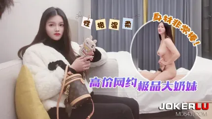 高价网约极品大奶妹