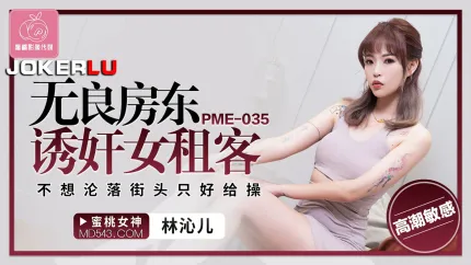PME-035 无良房东诱奸女租客 不想沦落街头只好给操