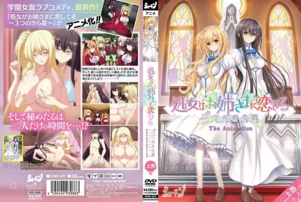 少女爱上姐姐 明亮的3颗星 1