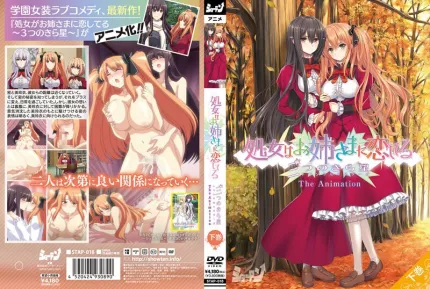 少女爱上姐姐 明亮的3颗星 2