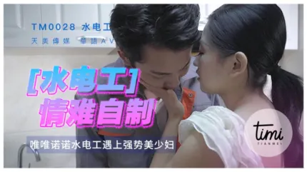 TM0028 水电工情难自制